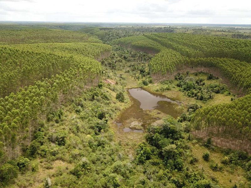 Fazenda Dupla Aptidão com localização estratégica no Sul da Bahia Sul da Bahia  Porto Seguro - 