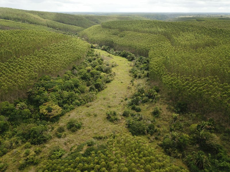 Fazenda Dupla Aptidão com localização estratégica no Sul da Bahia Sul da Bahia  Porto Seguro - 