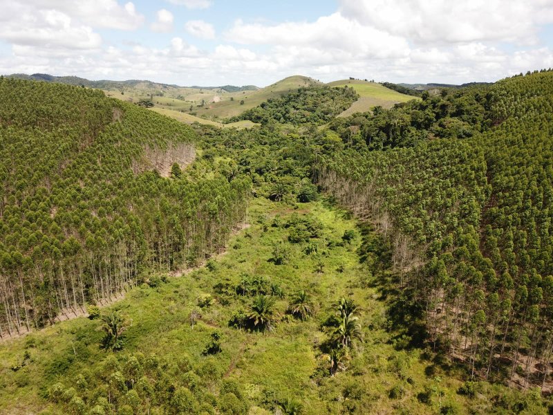 Fazenda Dupla Aptidão com localização estratégica no Sul da Bahia Sul da Bahia  Porto Seguro - 