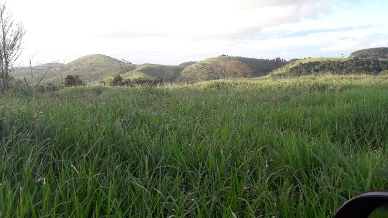 Fazenda Dupla Aptidão com localização estratégica no Sul da Bahia Sul da Bahia  Porto Seguro - 
