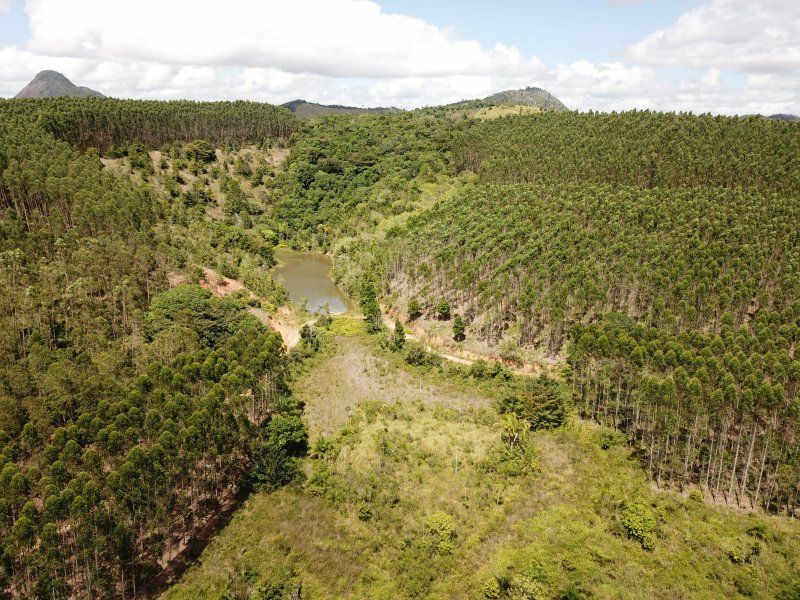 Fazenda Dupla Aptidão com localização estratégica no Sul da Bahia Sul da Bahia  Porto Seguro - 