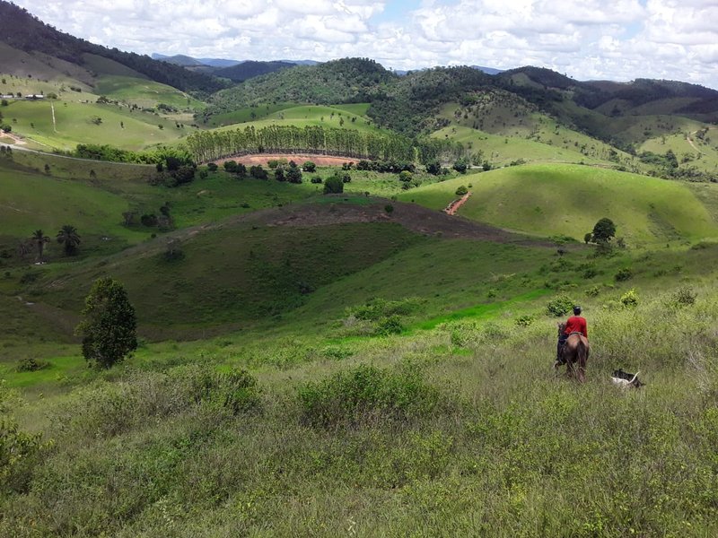 Fazenda Dupla Aptidão com localização estratégica no Sul da Bahia Sul da Bahia  Porto Seguro - 