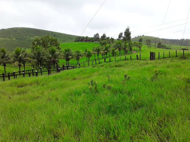 Fazenda Dupla Aptidão com localização estratégica no Sul da Bahia Sul da Bahia  Porto Seguro - 