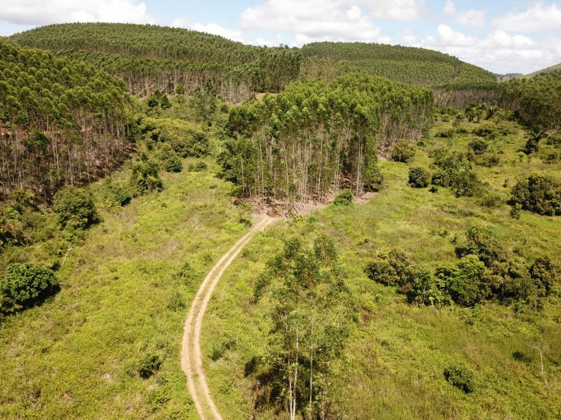 Fazenda Dupla Aptidão com localização estratégica no Sul da Bahia Sul da Bahia  Porto Seguro - 