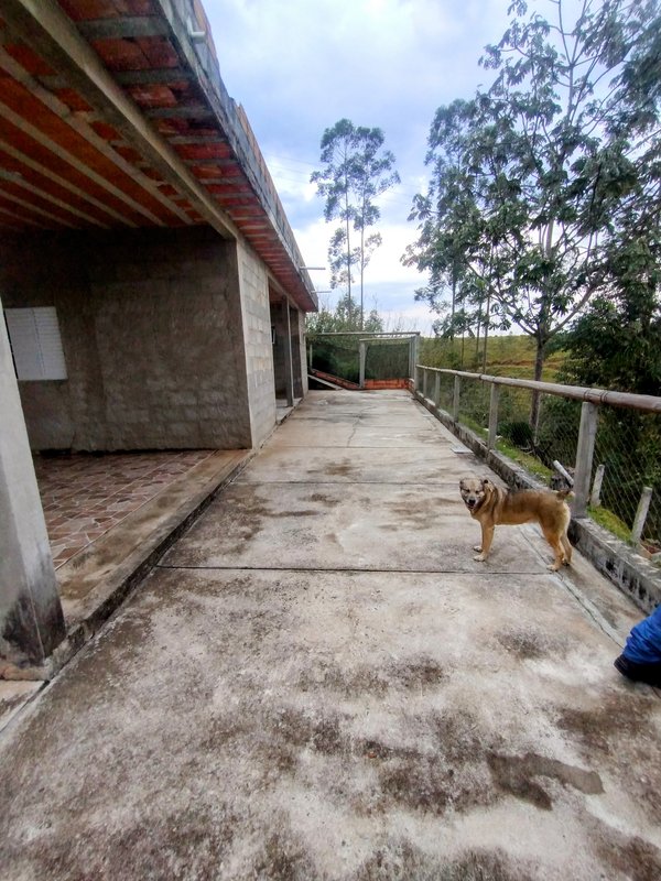 Casa à venda no Mirante da Serra  Igaratá - 