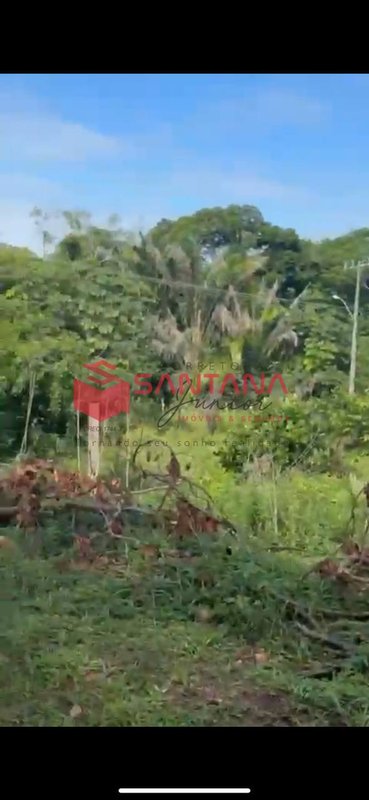Terreno e Lotes em Monte Gordo – Escriturado – Litoral Norte – A partir de R$ 60 Mil Rua Itaipu Camaçari - 
