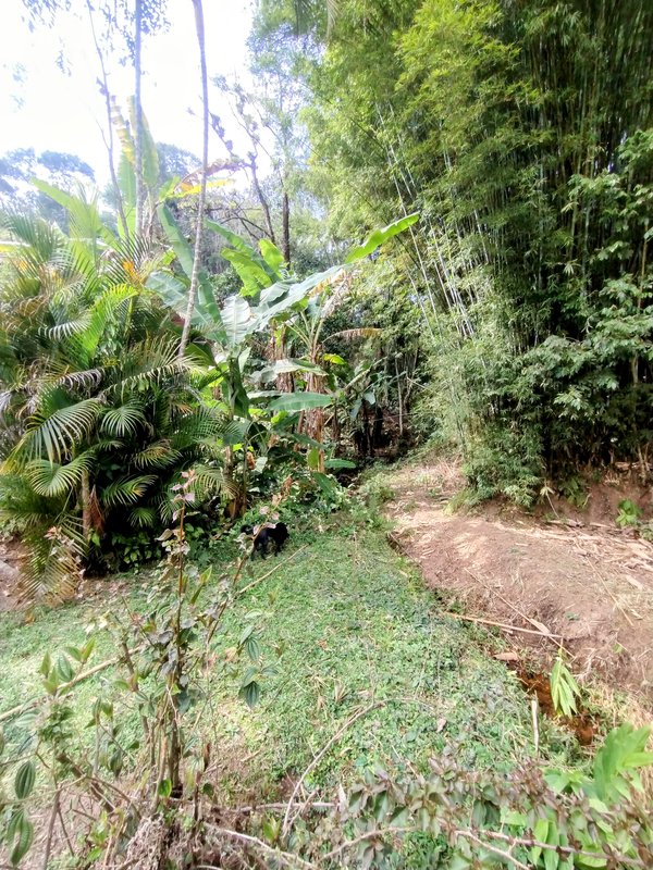 Sítio à venda no bairro da Boa Vista  Igaratá - 