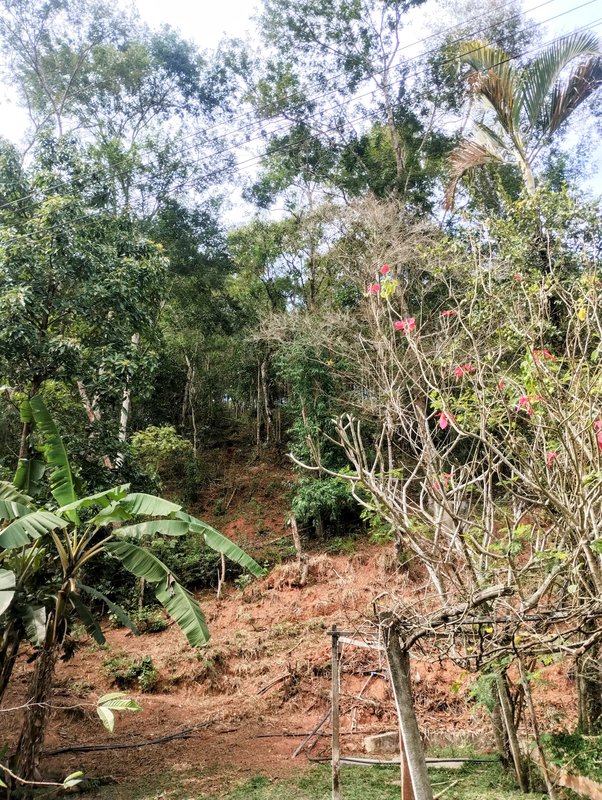 Sítio à venda no bairro da Boa Vista  Igaratá - 