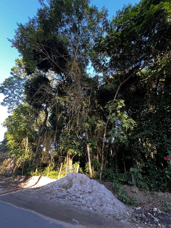 Terreno em Trancoso Trancoso Porto Seguro - 