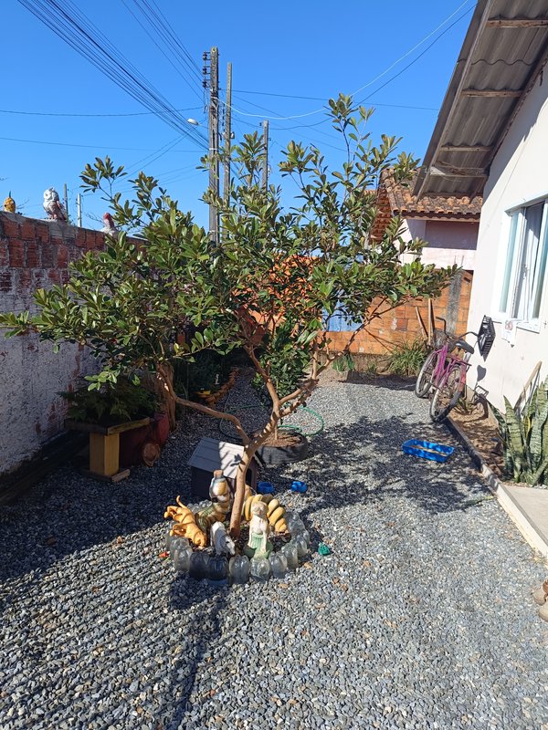 Casa de Alvenaria no bairro Praça Tijucas SC rua Petronilho da Costa  Tijucas - 