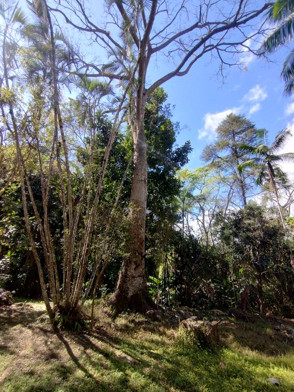 Sítio à venda a 600 m da Rodovia D. Pedro I, Boa Vista  Igaratá - 