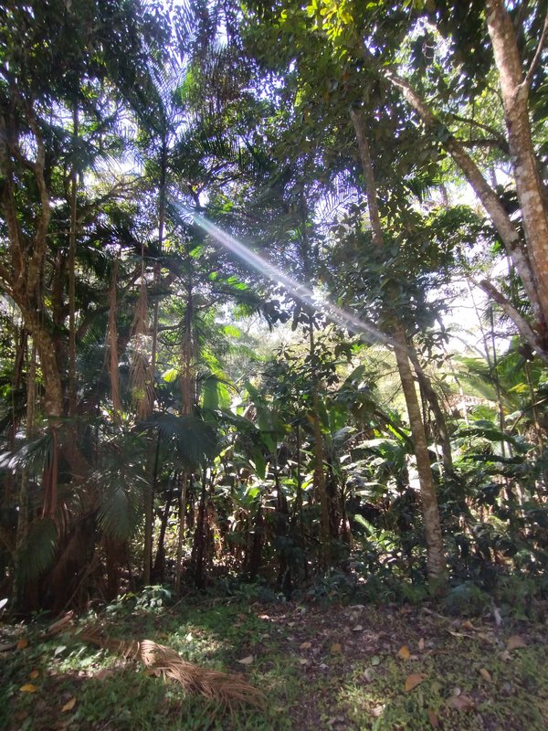 Sítio à venda a 600 m da Rodovia D. Pedro I, Boa Vista  Igaratá - 
