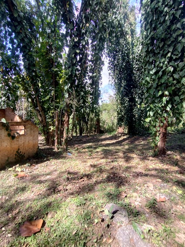 Sítio à venda a 600 m da Rodovia D. Pedro I, Boa Vista  Igaratá - 