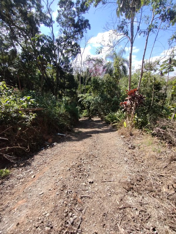 Sítio à venda a 600 m da Rodovia D. Pedro I, Boa Vista  Igaratá - 