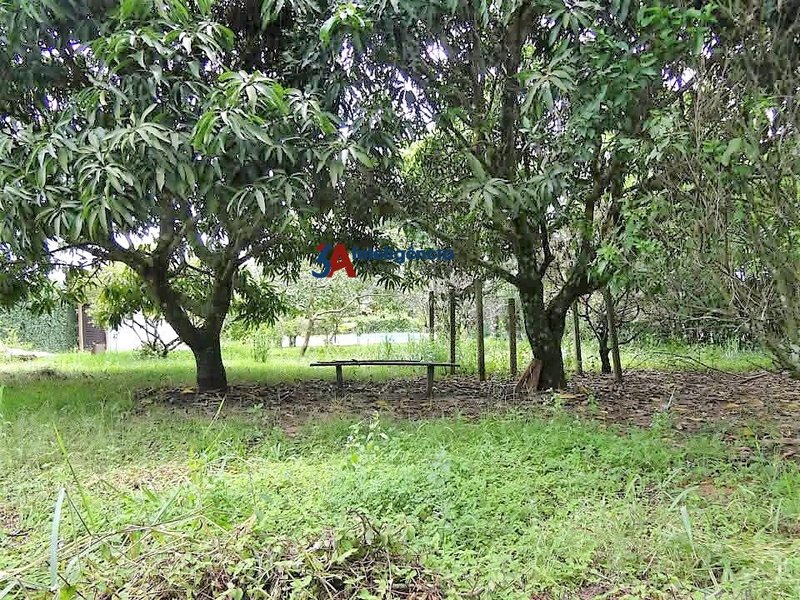 CHÁCARA EM SARAPUÍ  Sarapuí - 