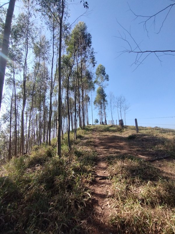 Sítio à venda na estrada dos Pinheiros,  Boa Vista  Igaratá - 