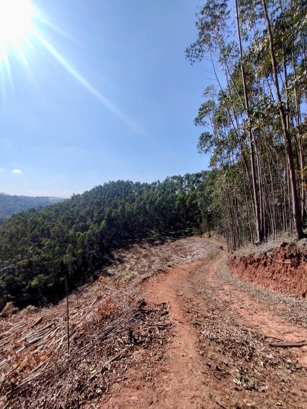 Sítio à venda na estrada dos Pinheiros,  Boa Vista  Igaratá - 