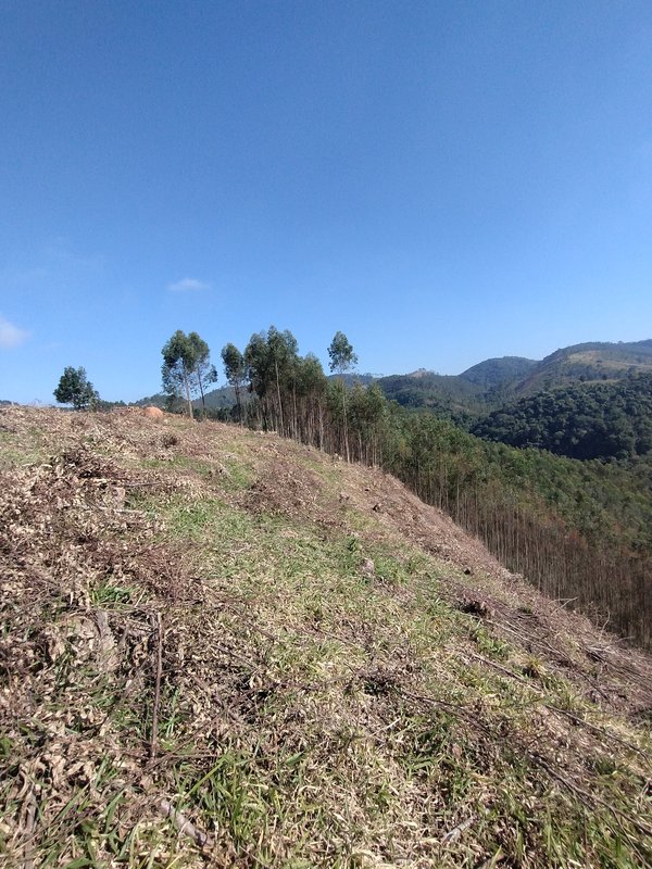Sítio à venda na estrada dos Pinheiros,  Boa Vista  Igaratá - 