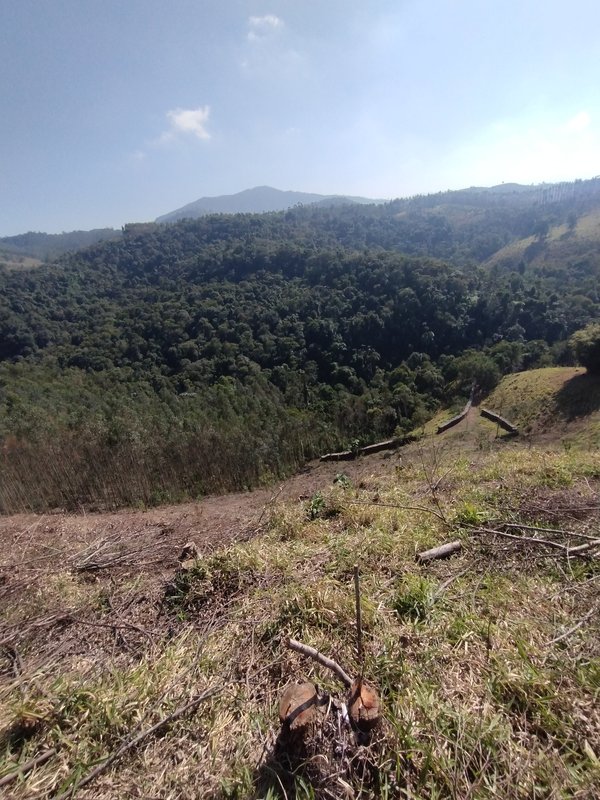 Sítio à venda na estrada dos Pinheiros,  Boa Vista  Igaratá - 