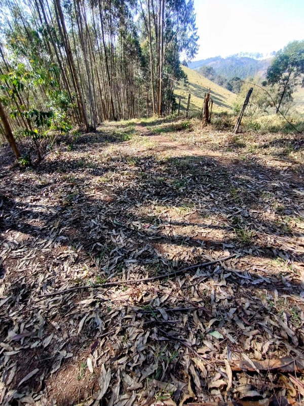 Sítio à venda na estrada dos Pinheiros,  Boa Vista  Igaratá - 