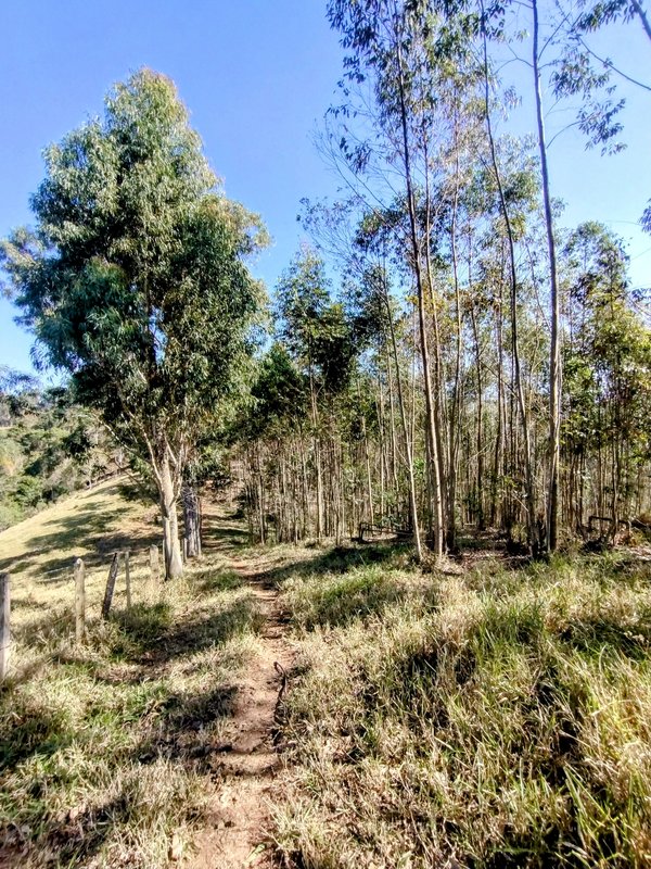 Sítio à venda na estrada dos Pinheiros,  Boa Vista  Igaratá - 