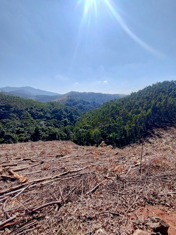 Sítio à venda na estrada dos Pinheiros,  Boa Vista  Igaratá - 