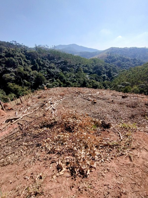 Sítio à venda na estrada dos Pinheiros,  Boa Vista  Igaratá - 