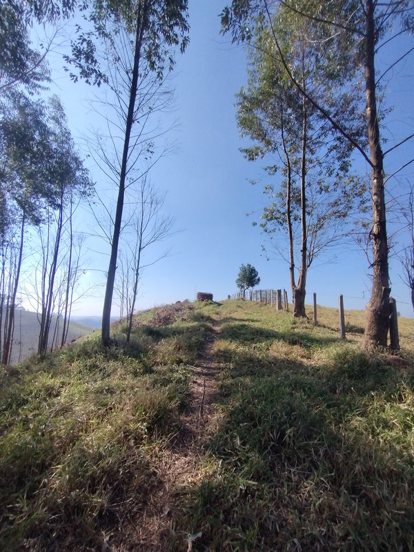 Sítio à venda na estrada dos Pinheiros,  Boa Vista  Igaratá - 