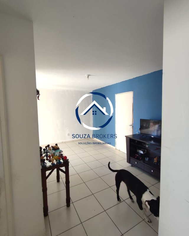 Ótimo apartamento de 55m² no Jardim Santa Cristina em Santo André  Santo André - 