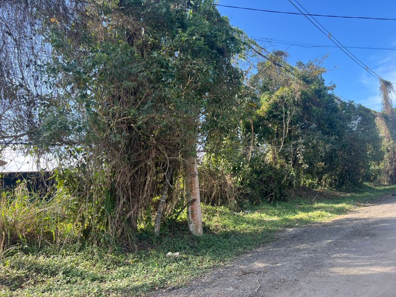 Terreno Escriturado no Golfinho – 250 m² para Construção  Caraguatatuba - 