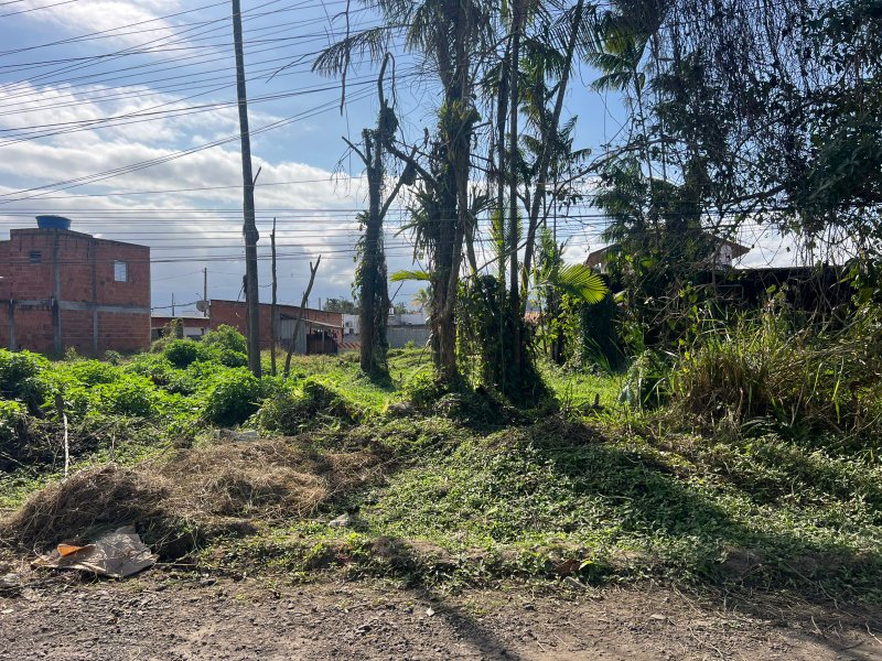 Terreno Escriturado no Golfinho – 250 m² para Construção  Caraguatatuba - 