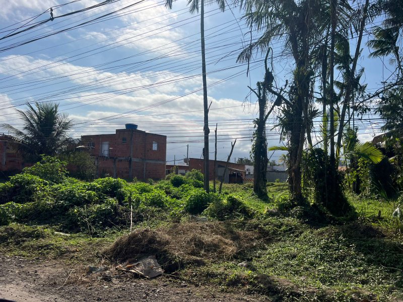 Terreno Escriturado no Golfinho – 250 m² para Construção  Caraguatatuba - 