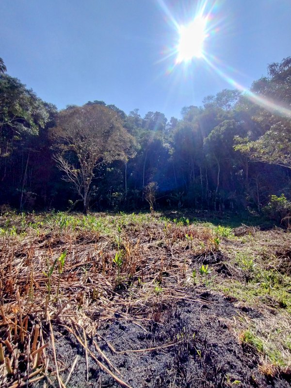 Terreno com boa topografia à venda no bairro da Boa Vista  Igaratá - 