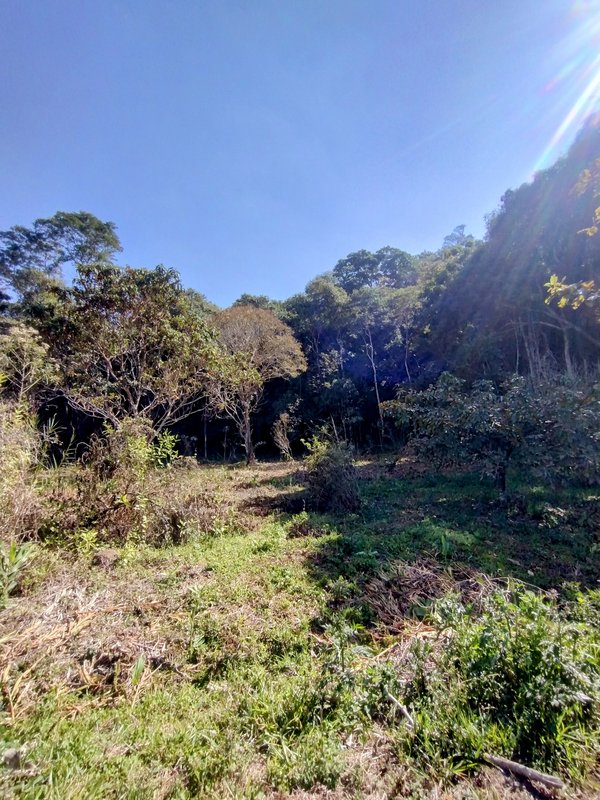 Terreno com boa topografia à venda no bairro da Boa Vista  Igaratá - 