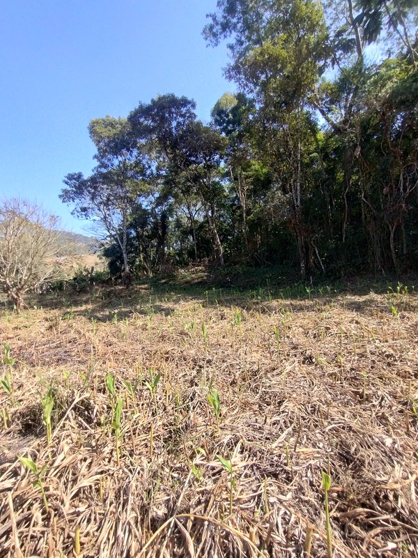 Terreno com boa topografia à venda no bairro da Boa Vista  Igaratá - 