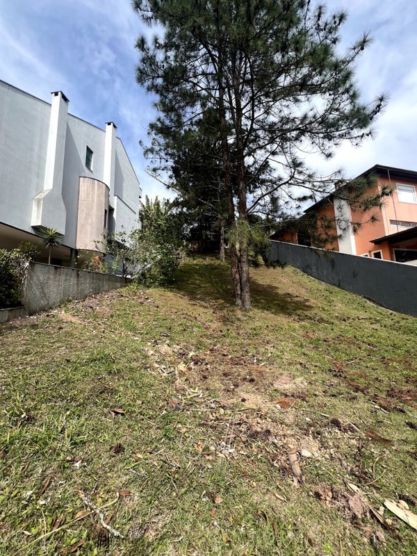 Terreno no Condomínio Swiss Park 372 m2 Avenida Omar Daibert São Bernardo do Campo - 