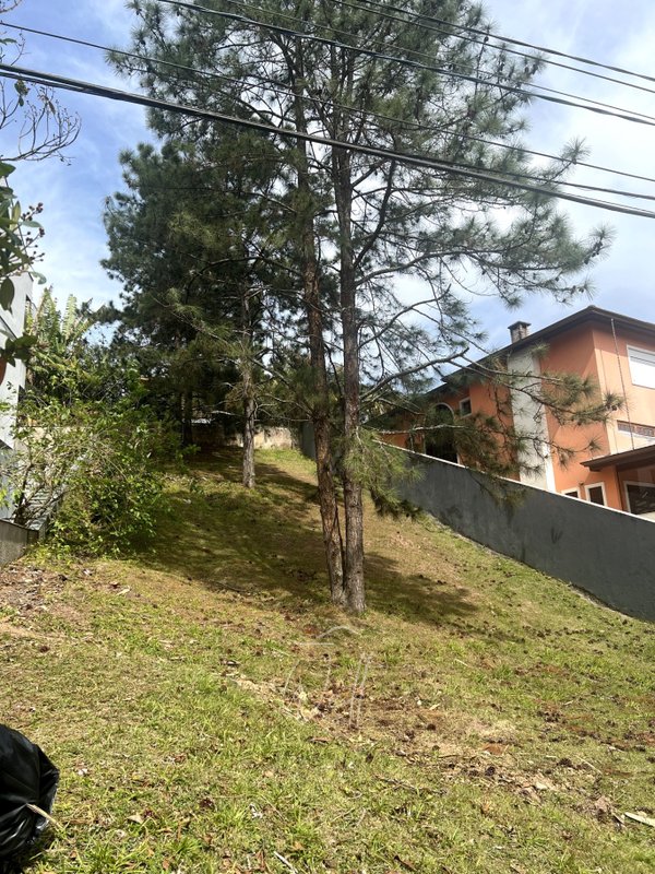 Terreno no Condomínio Swiss Park 372 m2 Avenida Omar Daibert São Bernardo do Campo - 