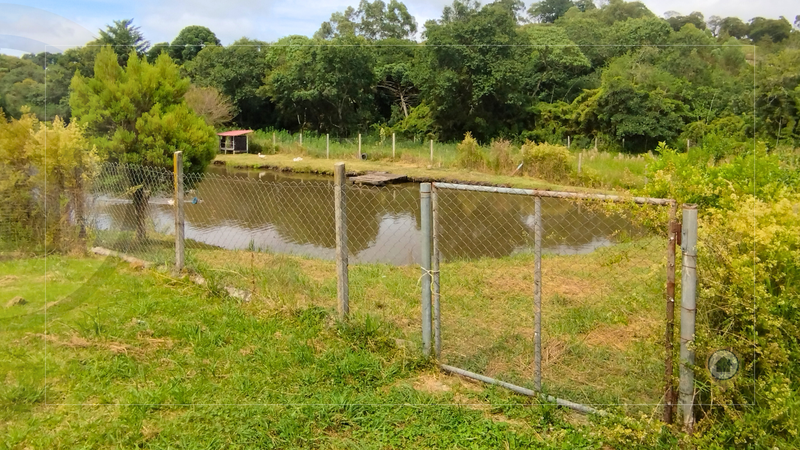 CHÁCARA À VENDA | 10.000 m² | ÁREA COM PISCINA, CHURRASQUEIRA E POMAR | FÁCIL ACESSO!  MUNHOZ - 