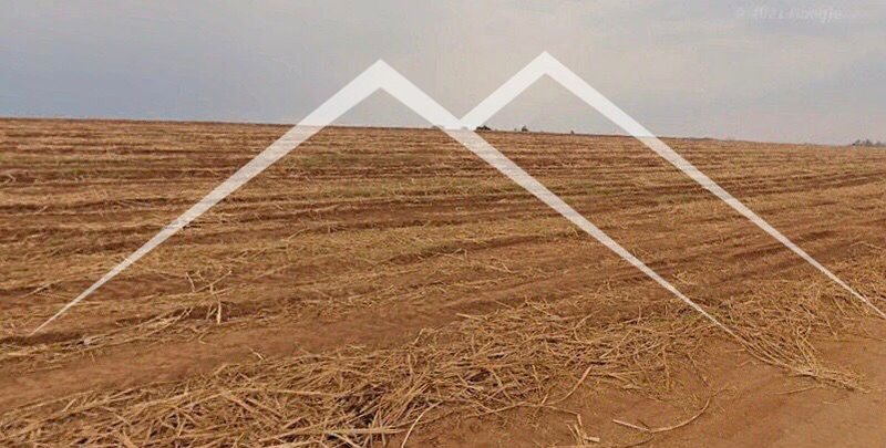 🌾 FAZENDA EM CANA À VENDA – PORTO FELIZ/SP - 160 alqueires  PORTO FELIZ - 
