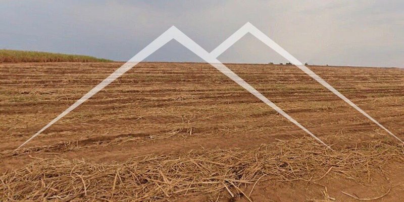 🌾 FAZENDA EM CANA À VENDA – PORTO FELIZ/SP - 160 alqueires  PORTO FELIZ - 