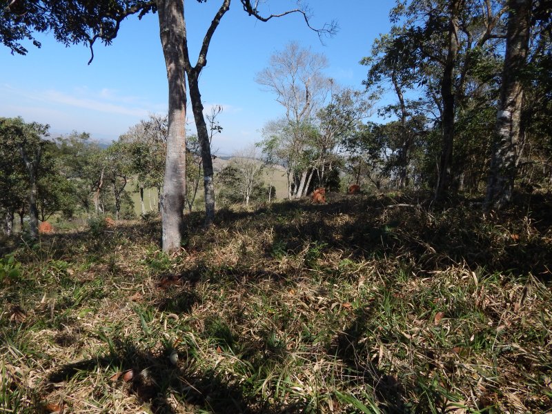 Terreno à venda no Bairro Alto  Igaratá - 