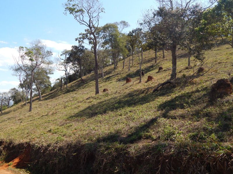 Terreno à venda no Bairro Alto  Igaratá - 