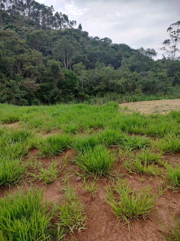 Sítio com 02 lagos à venda na Água Branca  Igaratá - 