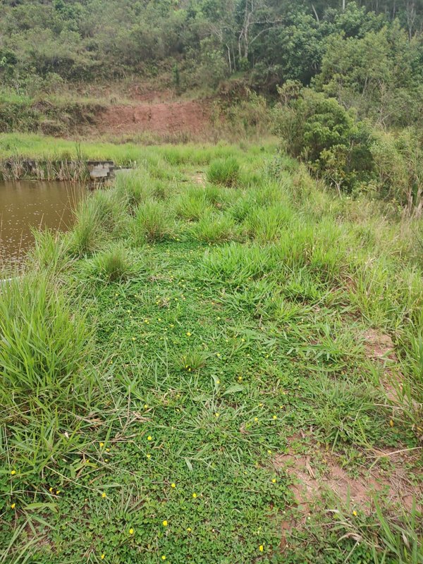 Sítio com 02 lagos à venda na Água Branca  Igaratá - 