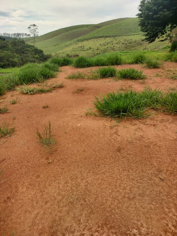 Sítio com 02 lagos à venda na Água Branca  Igaratá - 