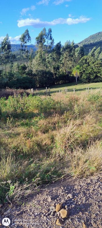 ✔️ Terreno no Centro de Presidente Lucena  Presidente Lucena - 
