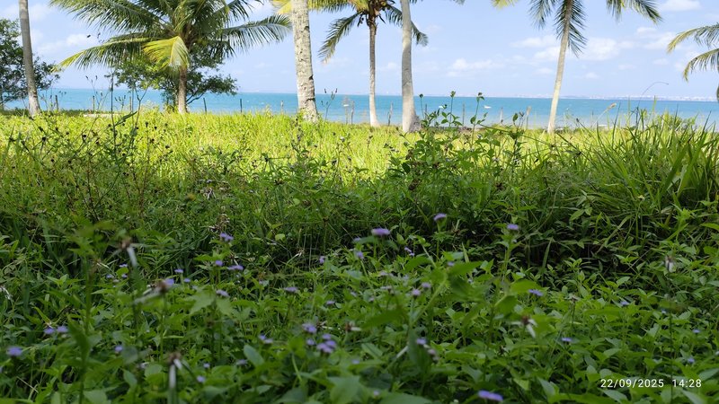 Casa Maravilhosa em frente ao Mar na Ilha de Itaparica Rua do Padre Itaparica - 