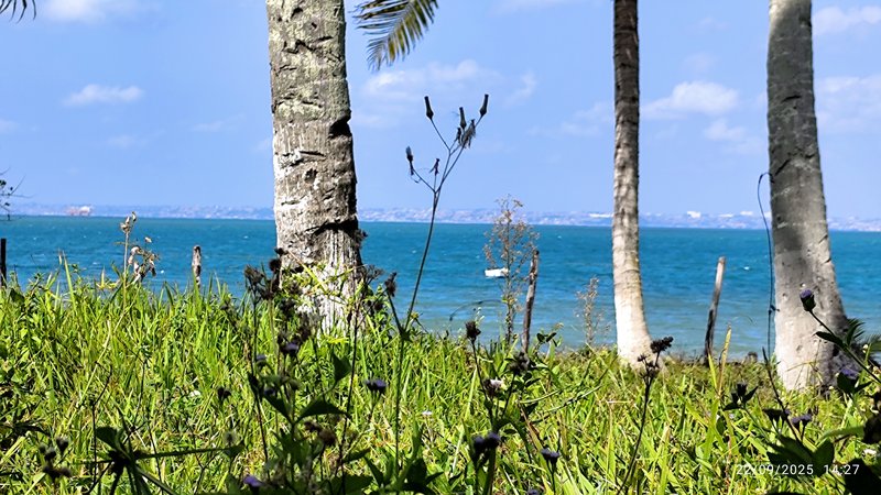 Casa Maravilhosa em frente ao Mar na Ilha de Itaparica Rua do Padre Itaparica - 
