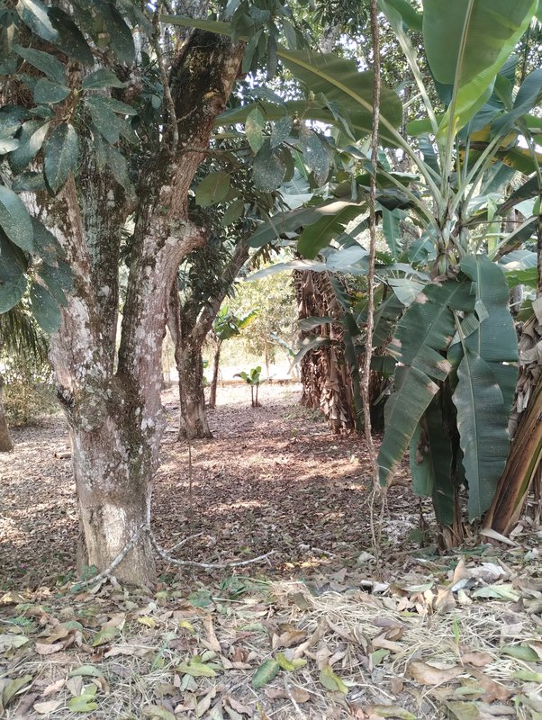Chácara à venda no Bosque do Jaguari  Igaratá - 