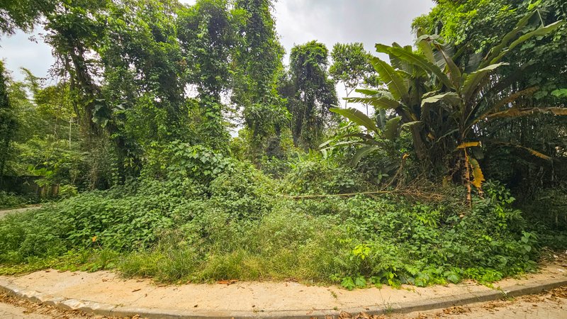 Amplo terreno no Sertão de Juquehy - À VENDA  São Sebastião - 
